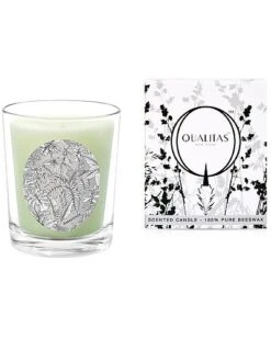 Amazonia 6.5oz Beeswax Candle Home