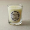 Fir Needle 6.5oz Candle Home