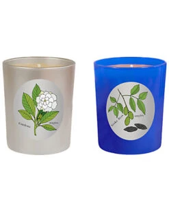 Candles Set Of 2 Gardenia & Tonka Bean Candles Home