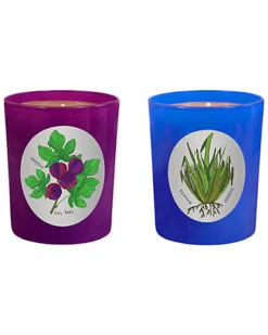 Candles Set Of 2 Fig Tree & Vetiver Candles Home