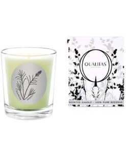 Sugarcane 6.5oz Beeswax Candle Home