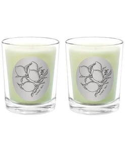 Lemon Tree Two Scented Beeswax Candle Set Home