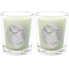 Grapefruit Two Scented Beeswax Candle Set Home