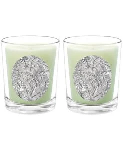 Amazonia Two Scented Beeswax Candle Set Home