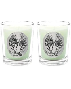 Santalum Two Scented Beeswax Candle Set Home