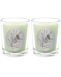 Eucalyptus Two Scented Beeswax Candle Set Home