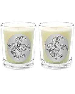 Paprika Basil Two Scented Beeswax Candle Set Home