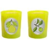 Candles Set Of 2 Yuzu & Desert Lime Candles Home