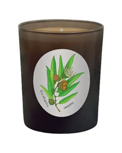 Eucalyptus 6.5oz Beeswax Candle Home
