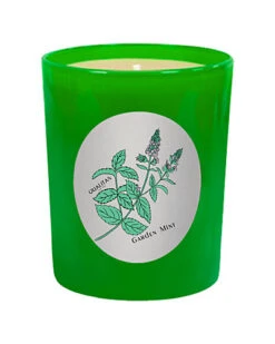 Garden Mint 6.5oz Beeswax Candle Home