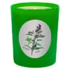 Basil 6.5oz Beeswax Candle Home