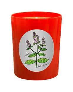 Peppermint 6.5oz Beeswax Candle Home