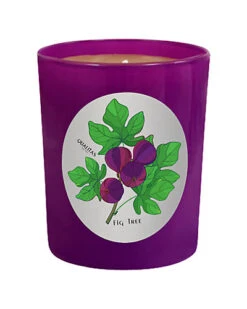 Fig Tree 6.5oz Beeswax Candle Home