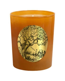 Amber 6.5oz Beeswax Candle Home