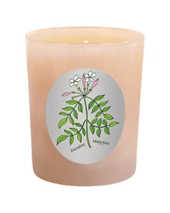 Jasmine 6.5oz Beeswax Candle Home