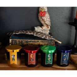 Ukonic Harry Potter Hogwarts House Scented Soy Wax Candles | Set Of 4