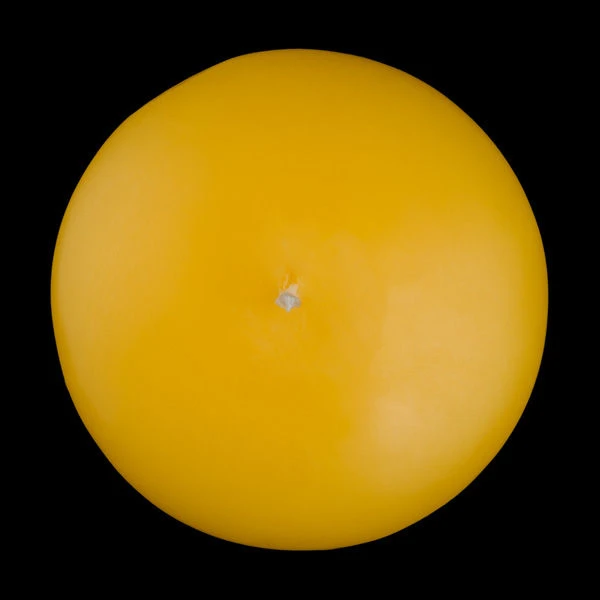 3 Inch Yellow Floating Candles 5 3 Inch Yellow Floating Candles - Image 5