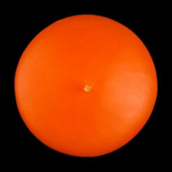 3 Inch Orange Floating Candles -Glow Essence Cheap Store lg item 1104 08