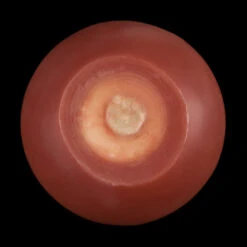 3 Inch Brown Floating Candles -Glow Essence Cheap Store lg item 1109 09