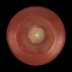 2 Inch Brown Floating Candles -Glow Essence Cheap Store lg item 1169 09