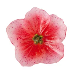 Floating Hellebores Flower Candles (3 Pc Pack) 12 Floating Hellebores Flower Candles (3 Pc Pack) -Glow Essence Cheap Store lg item 8349 05