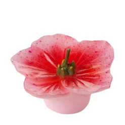 Floating Hellebores Flower Candles (3 Pc Pack) 14 Floating Hellebores Flower Candles (3 Pc Pack) -Glow Essence Cheap Store lg item 8349 07