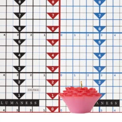 Floating Dark Zinnia Candles (3 Pc Pack) -Glow Essence Cheap Store lg item 8380 09